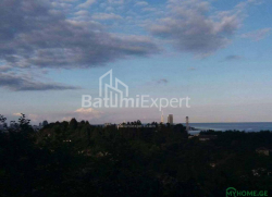 Земельный участок 300 м² - Юрьевская, Батуми, Грузия