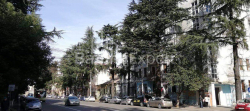 Квартира 40 м² - Николоза Бараташвили, Батуми, Грузия