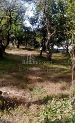 Квартира 259 м² - Юрьевская, Батуми, Грузия
