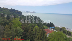 Квартира 30 м² - Ахалгазрдоба, Махинджаури, Грузия