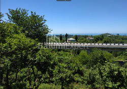 Земельный участок 536 м² - Агмашенебели, Чакви, Грузия