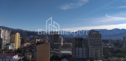 Квартира 31.3 м² - Шалва Инасаридзе, Батуми, Грузия